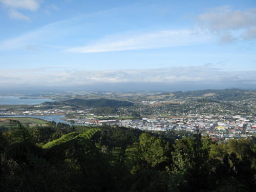 Climb Mt Parihaka